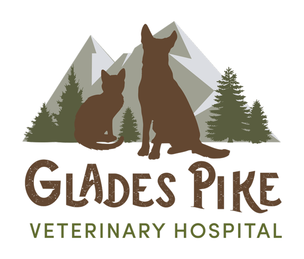 GladesPikeHospital_Logo_RGB